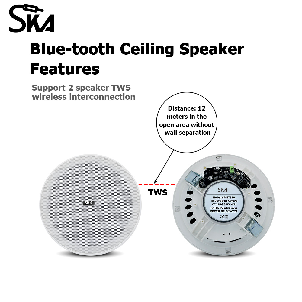 Speaker langit-langit Bluetoot - Home Cinema Speaker System ulasan dan harga
