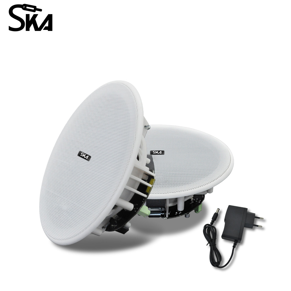 Speaker langit-langit Bluetoot - Home Cinema Speaker System ulasan dan harga