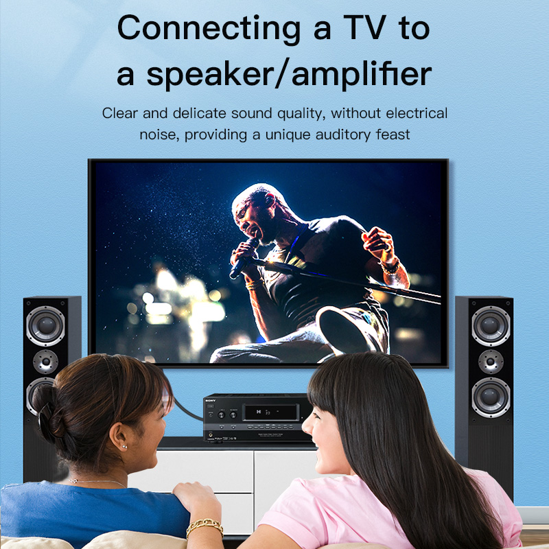 CHOSEAL Kabel RCA Kabel Audio  - Home Cinema Choice ulasan dan harga